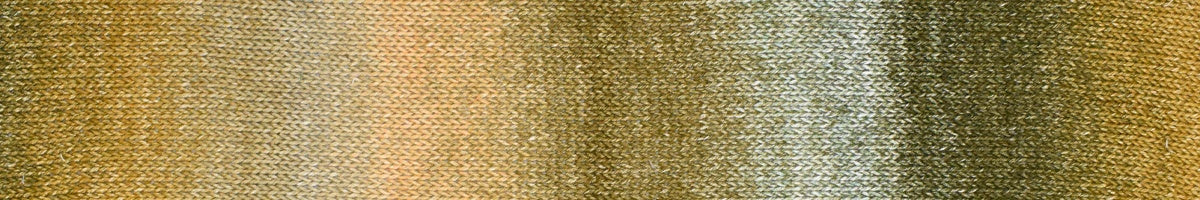 Araucania Alga and Alga Solids