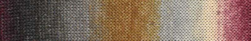 Araucania Alga and Alga Solids