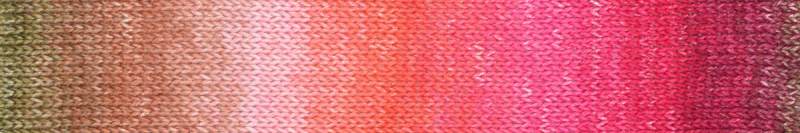 Araucania Alga and Alga Solids