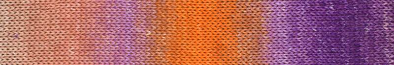 Araucania Alga and Alga Solids