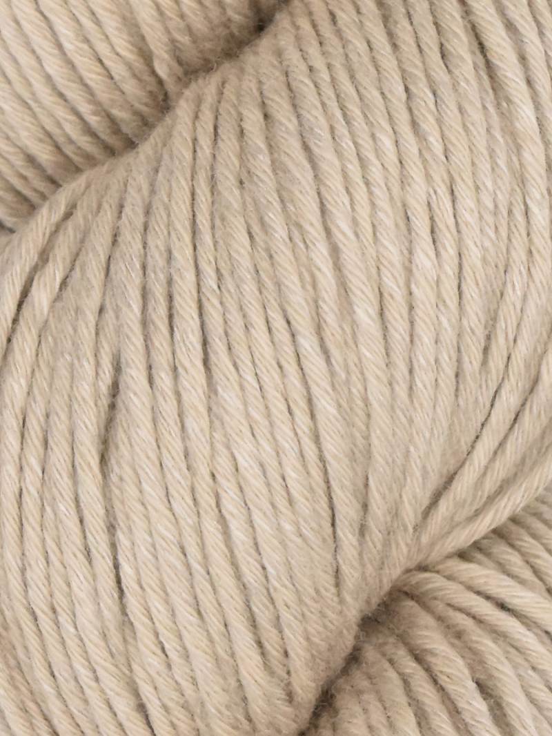 Araucania Alga and Alga Solids