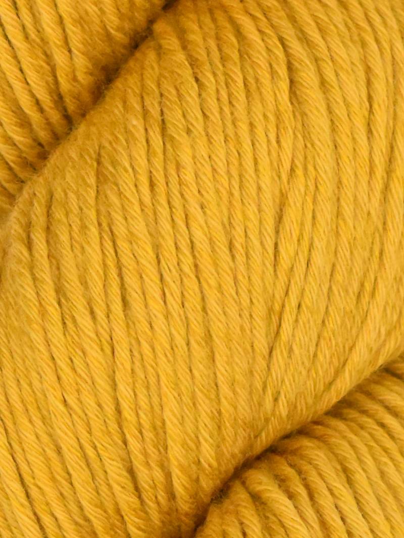 Araucania Alga and Alga Solids