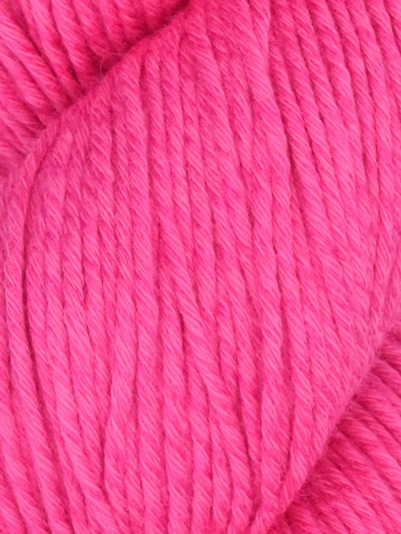 Araucania Alga and Alga Solids