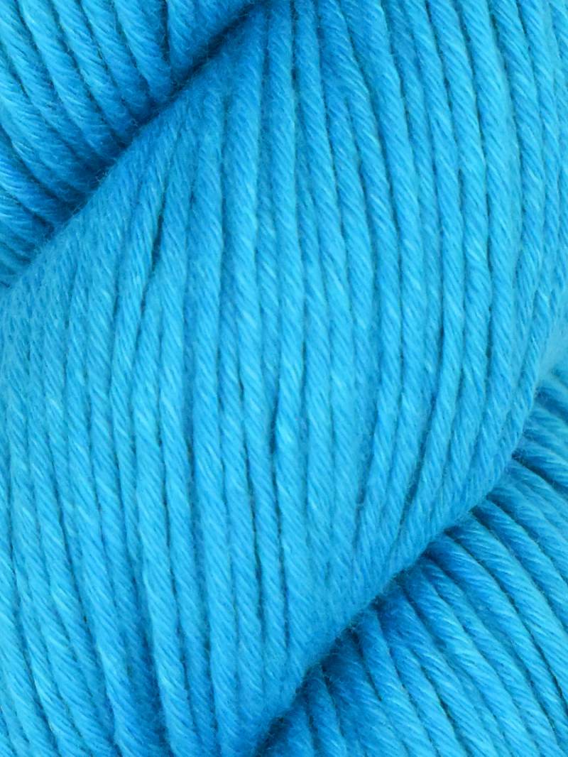 Araucania Alga and Alga Solids