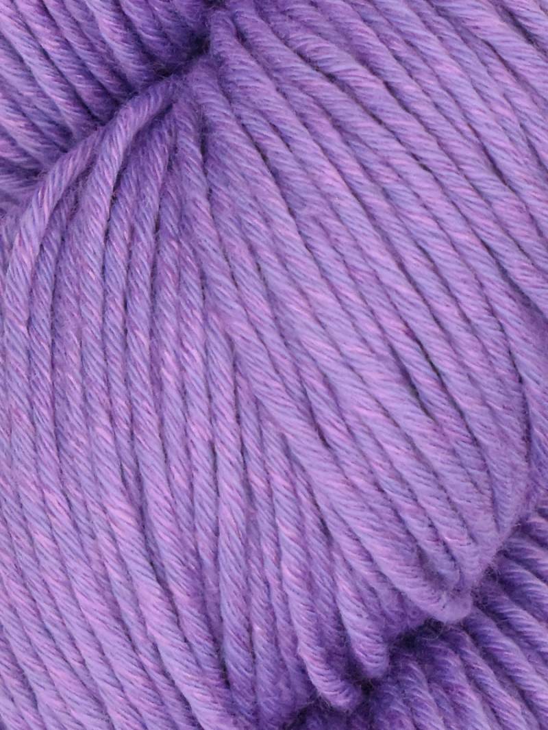 Araucania Alga and Alga Solids
