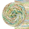 Evolution Silk Sock Yarn