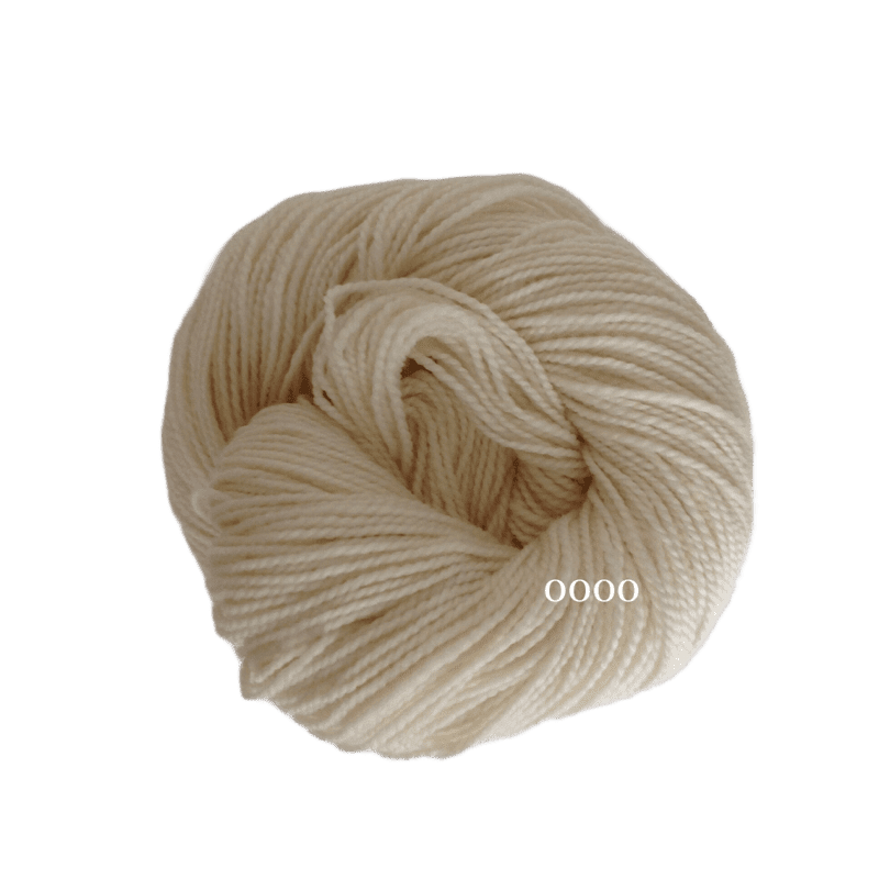 100g Koigu KPM