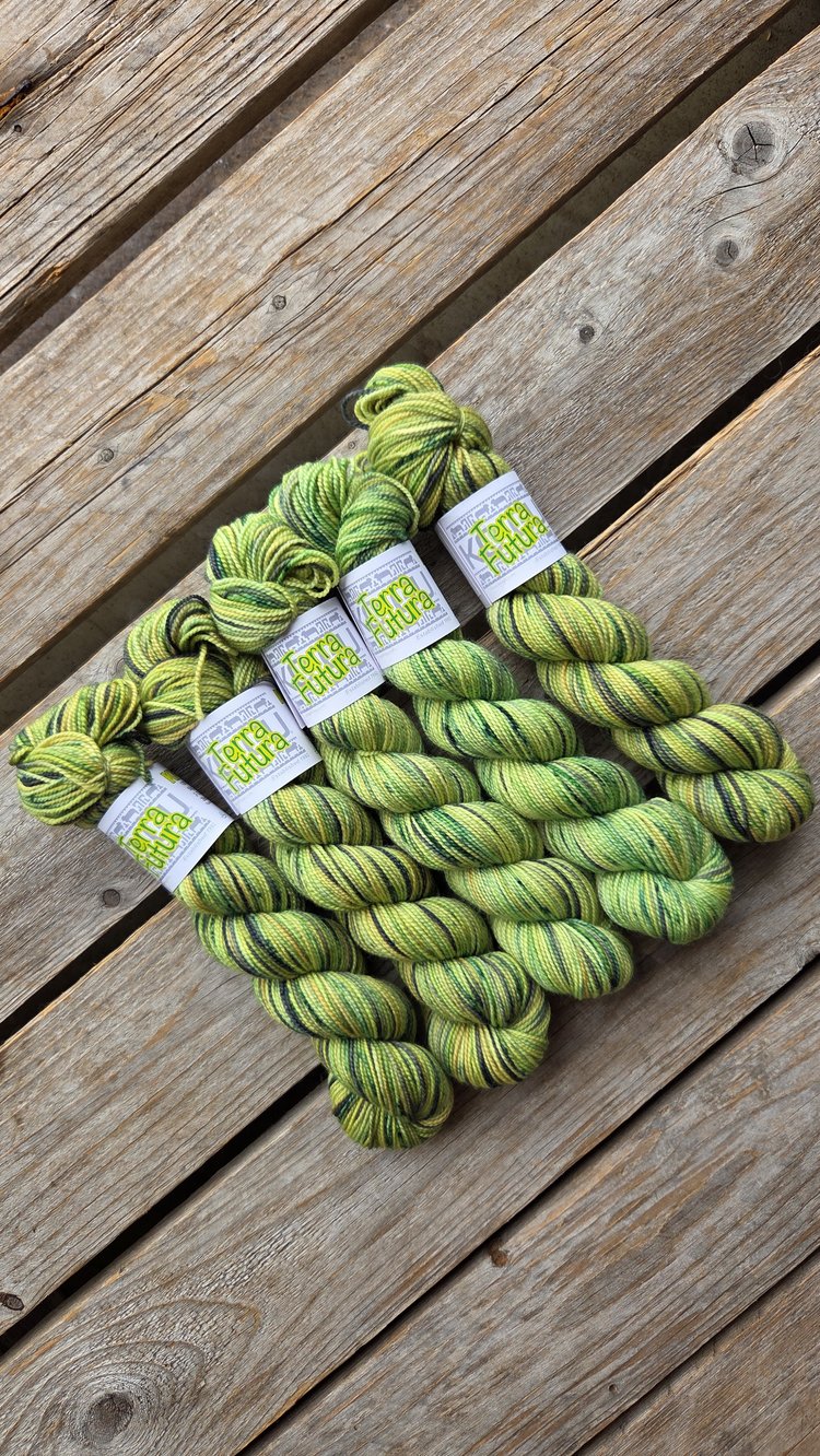 Koigu Collector's Colourway