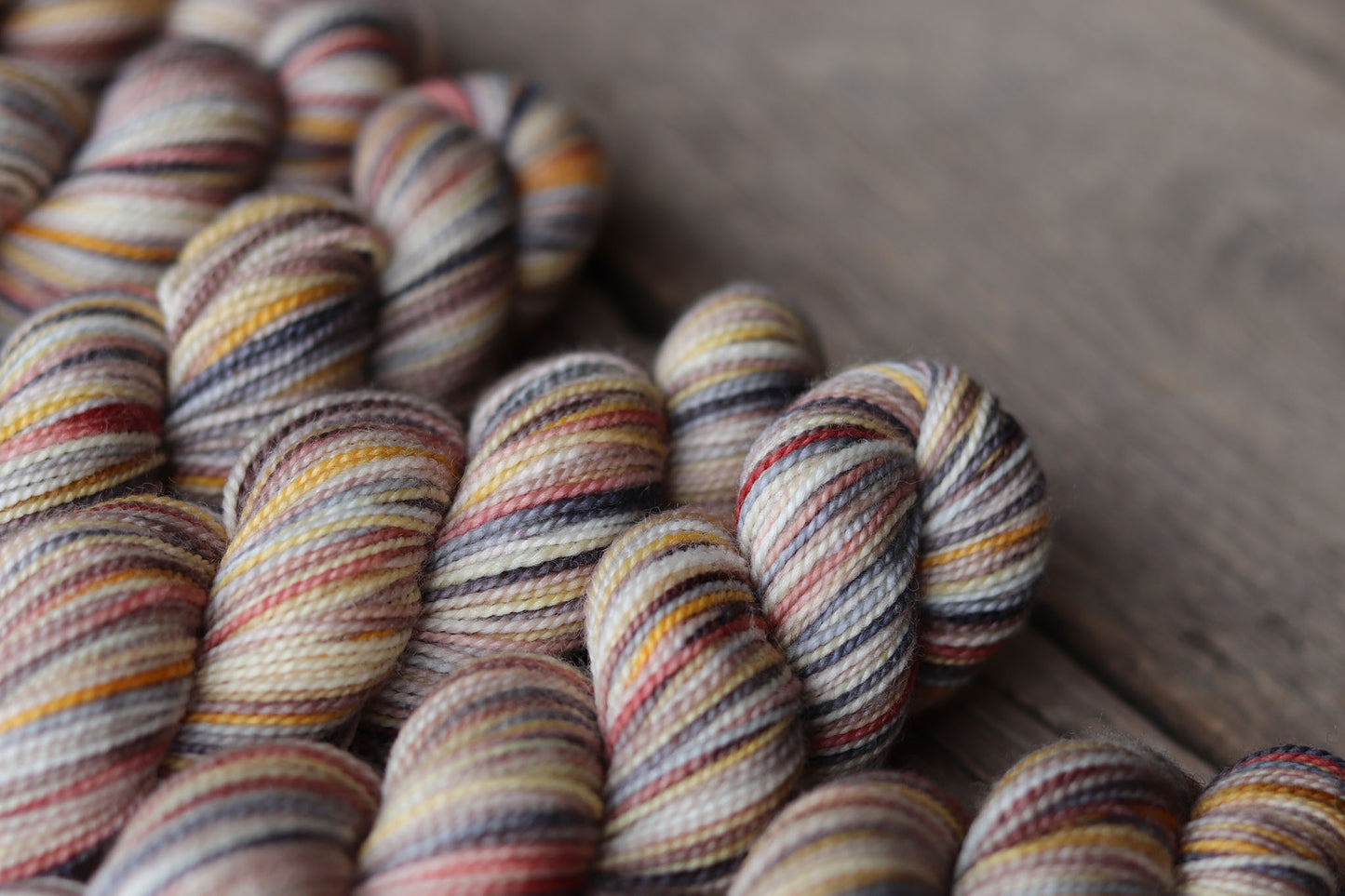 Koigu Collector's Colourway