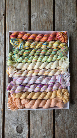 Koigu Pencil Pack