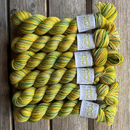 Koigu Collector's Colourway