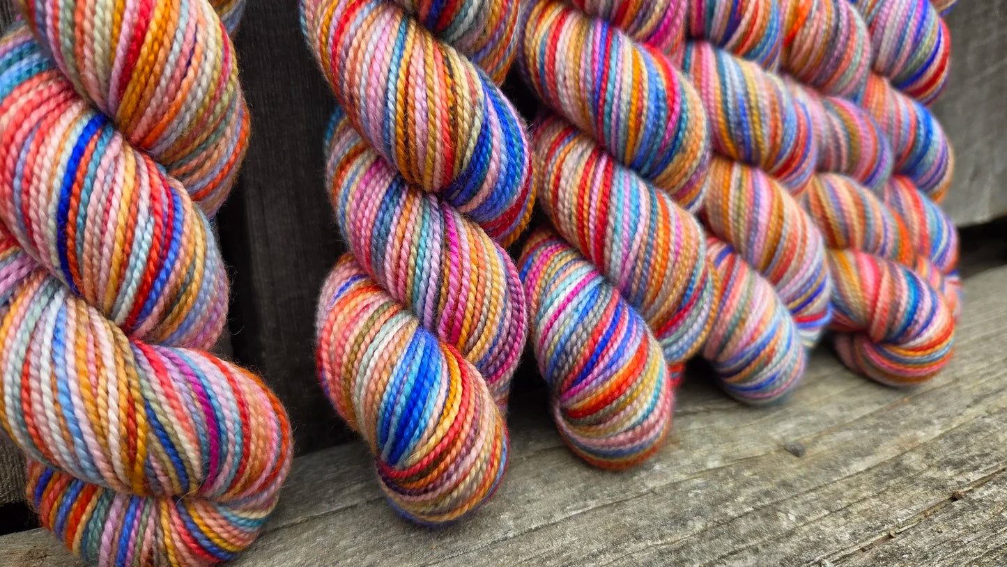 Koigu Collector's Colourway