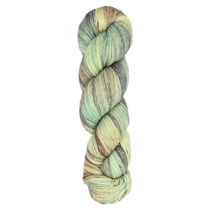 Araucania Huasco Sock Dawn Paints