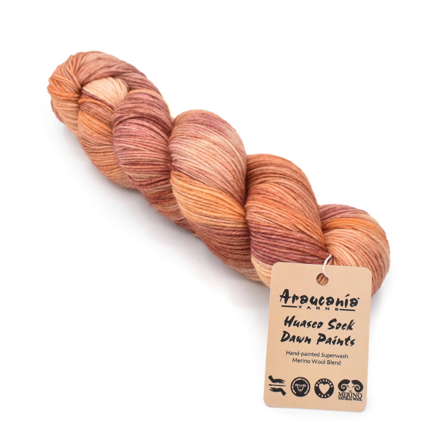 Araucania Huasco Sock Dawn Paints