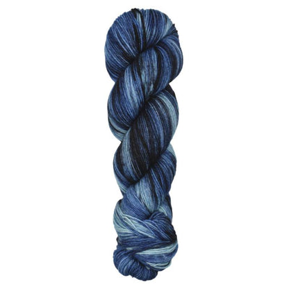 Araucania Huasco Sock Twilight Paints