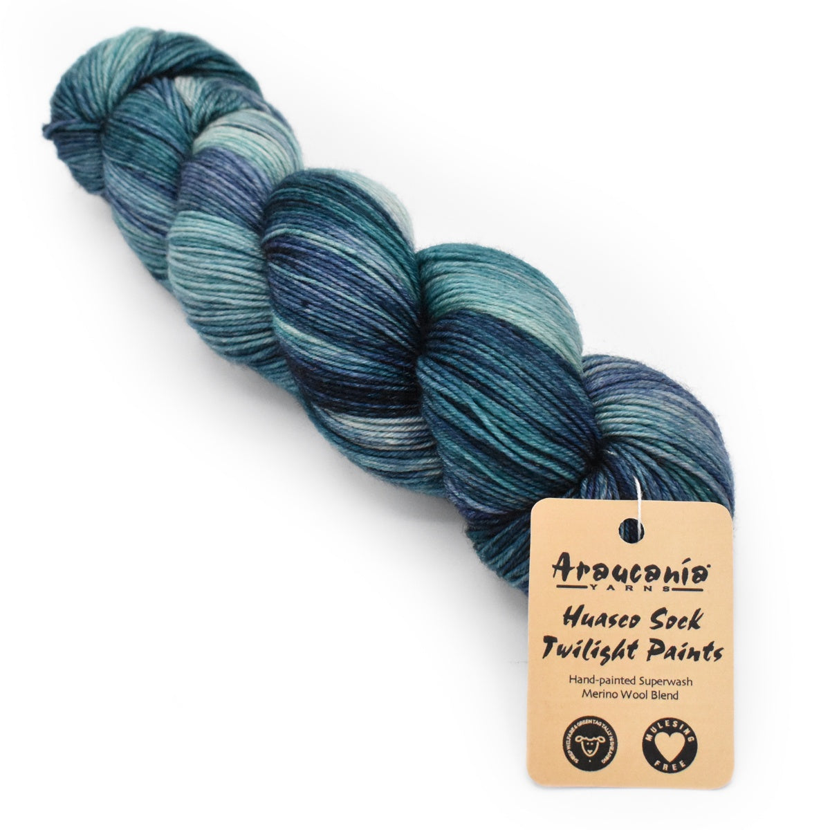 Araucania Huasco Sock Twilight Paints