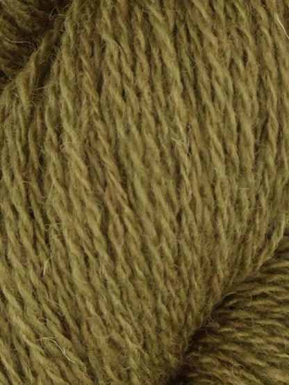 Queensland Shetland Lite