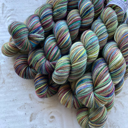 Koigu Collector's Colourway