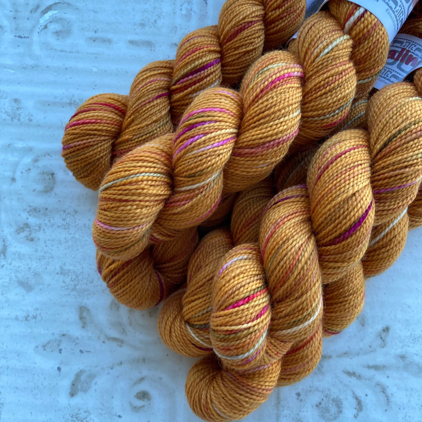 Koigu Collector's Colourway