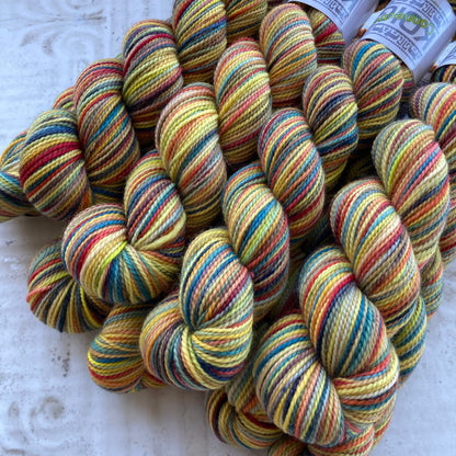 Koigu Collector's Colourway