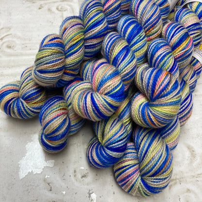 Koigu Collector's Colourway