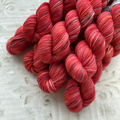 Koigu Collector's Colourway