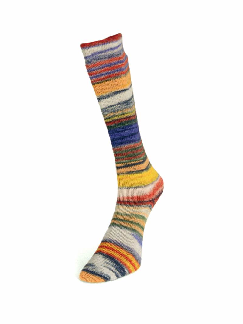 Laines du Nord Eclectic Sock