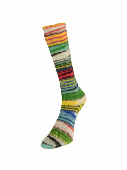 Laines du Nord Eclectic Sock