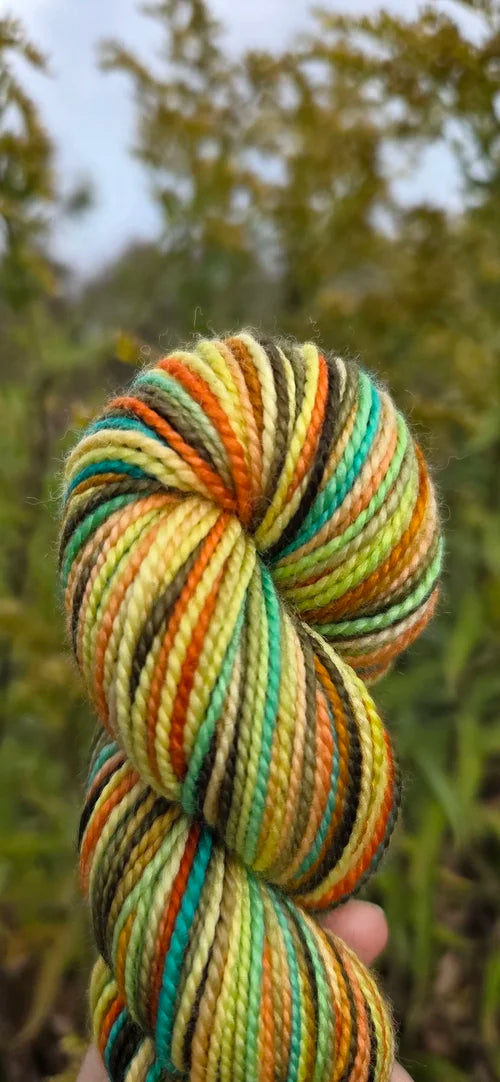 Koigu Collector's Colourway
