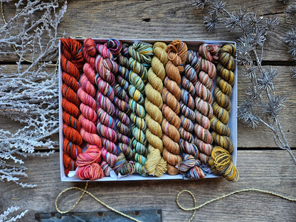 Koigu Pencil Pack