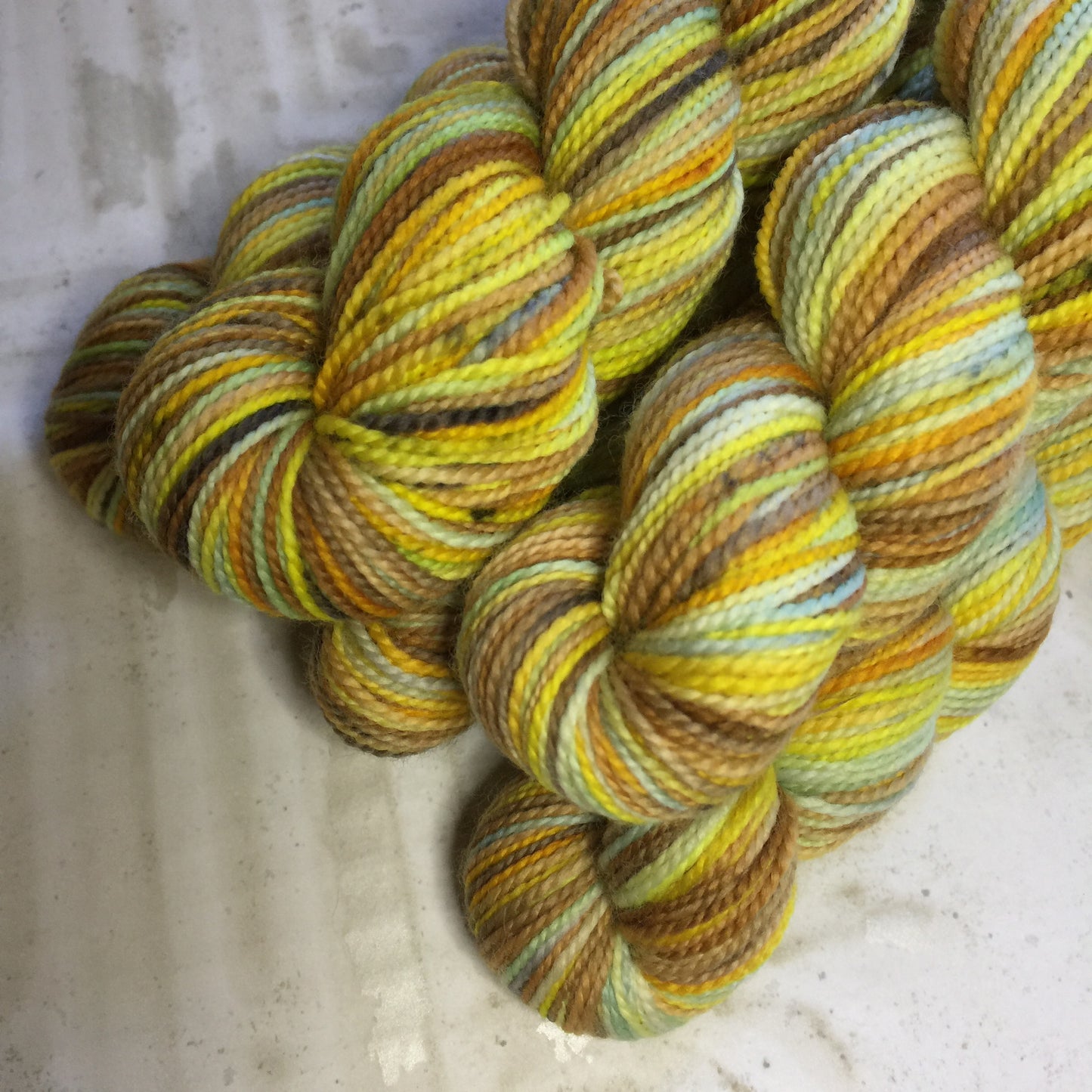 Koigu Collector's Colourway