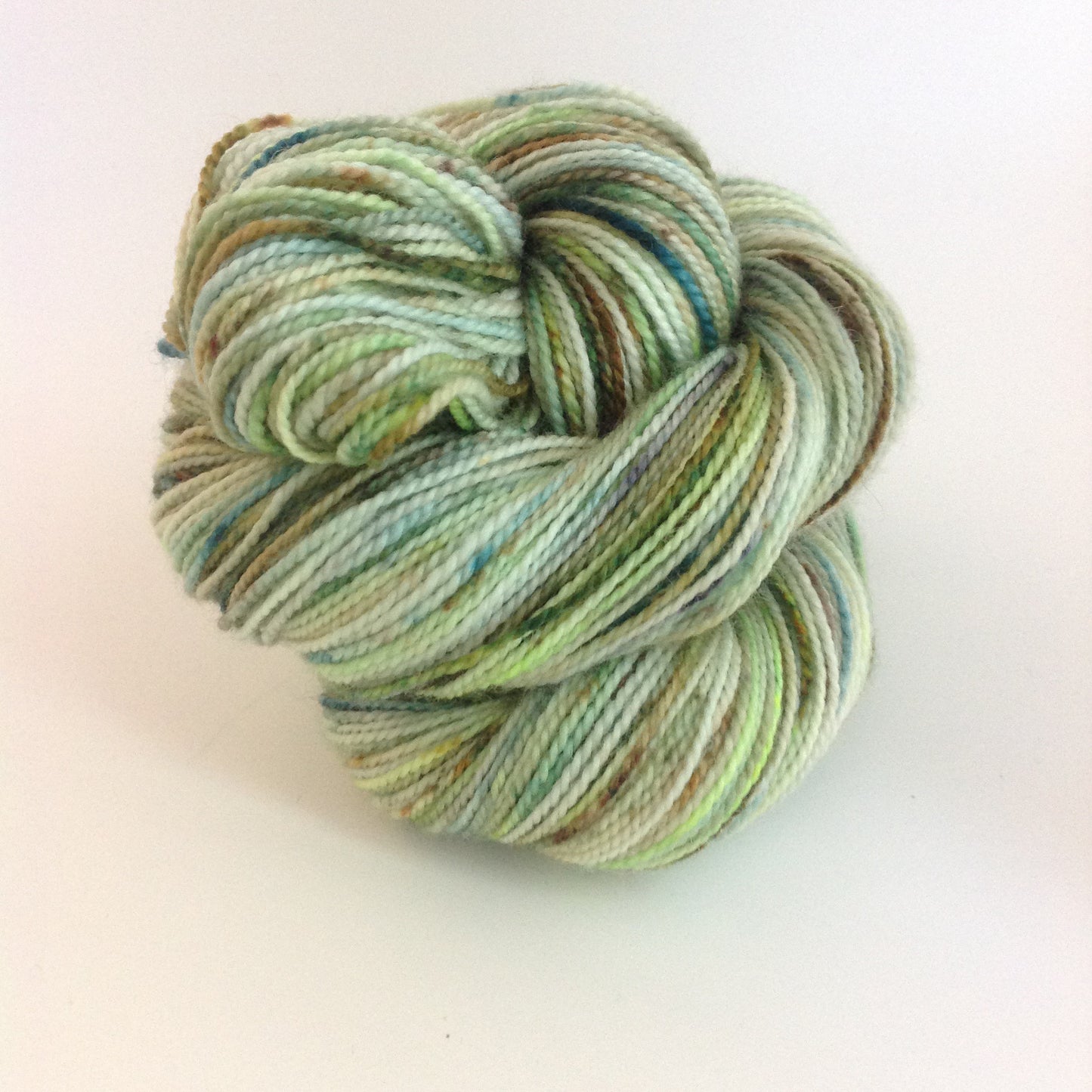 Koigu Collector's Colourway