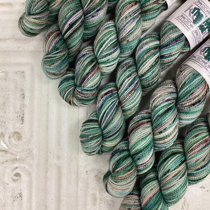 Koigu Collector's Colourway