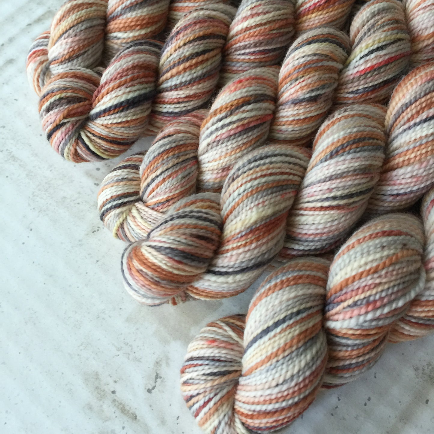 Koigu Collector's Colourway