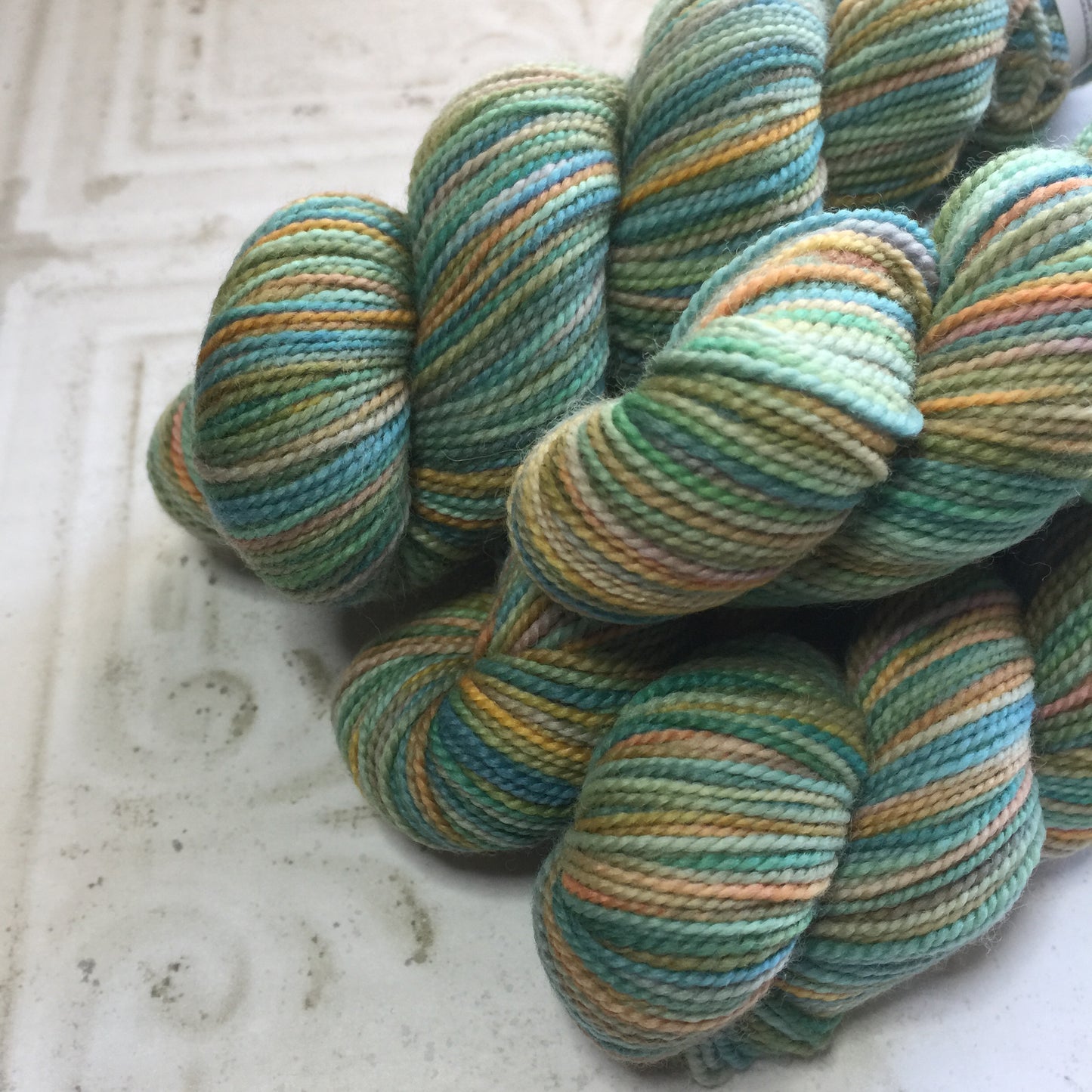 Koigu Collector's Colourway