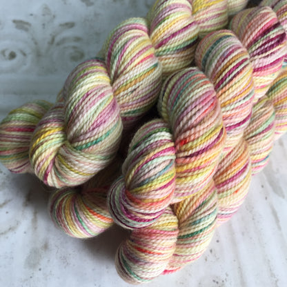 Koigu Collector's Colourway