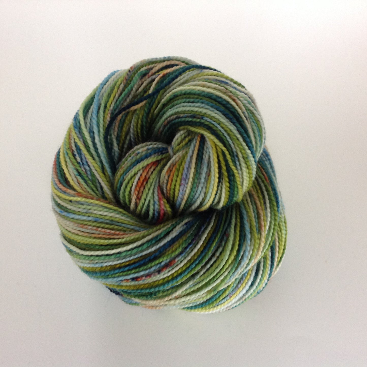 Koigu Collector's Colourway