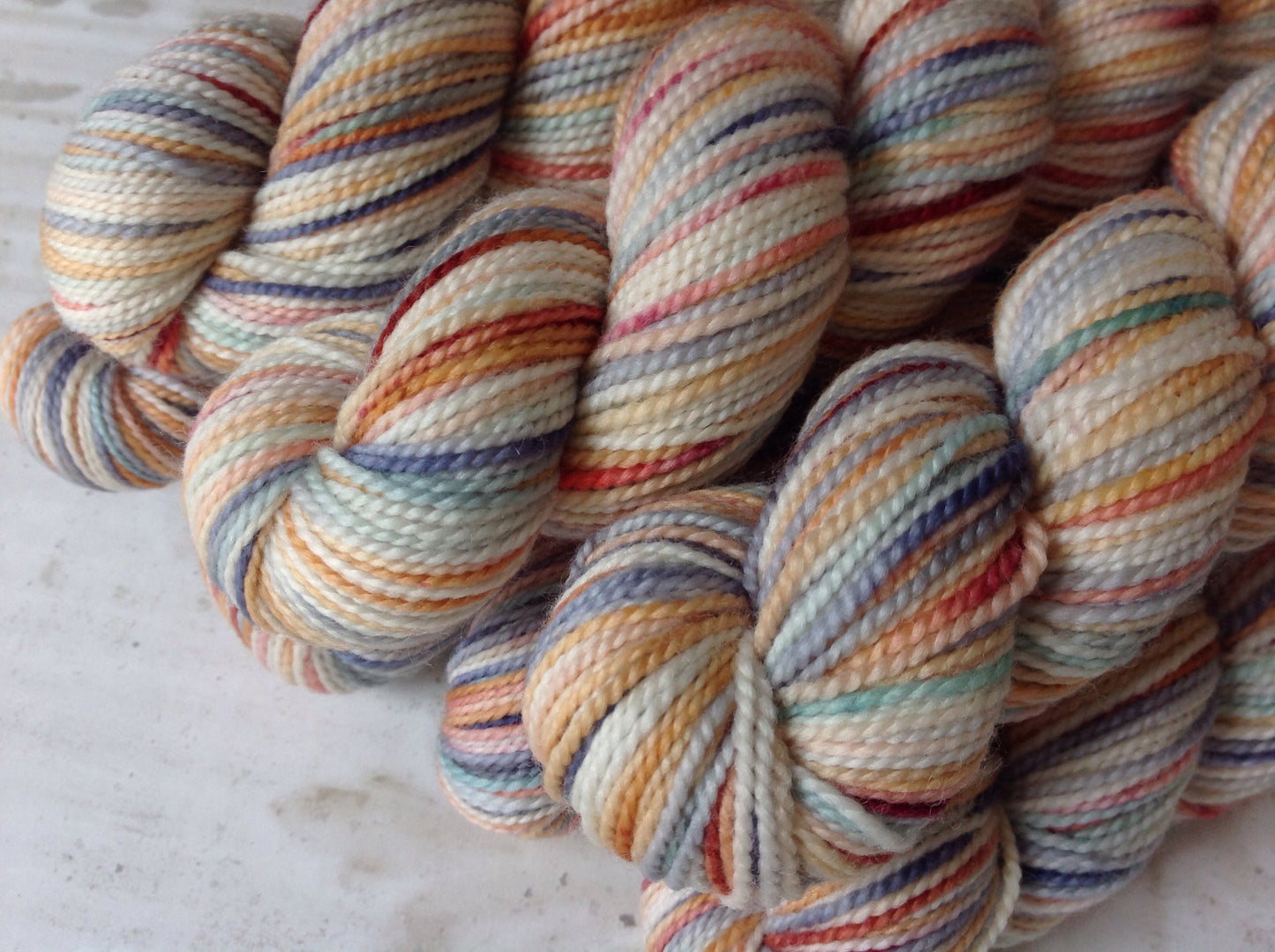 Koigu Collector's Colourway