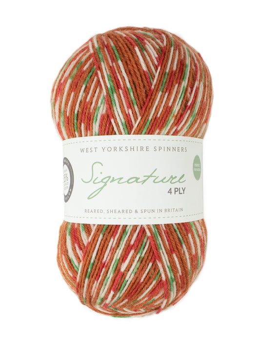 West Yorkshire Spinners Signature 4 Ply - Christmas Collection